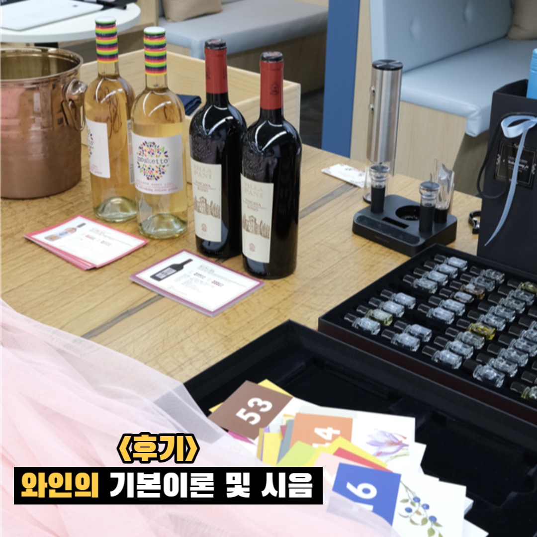 활동사진 4